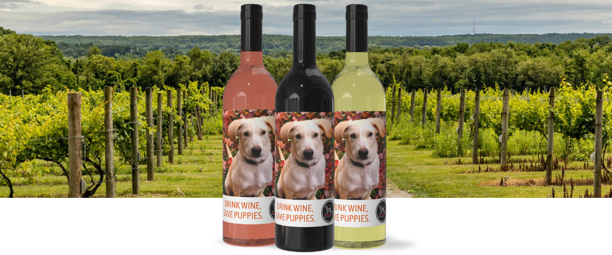 Amazing Mutts Puppy Rescue Wine Collection Fundraiser